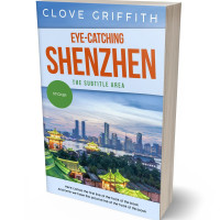 3D view of Premade Travel Book Cover - William