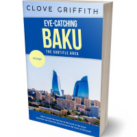 Tablet view of Gray Nurse #10348 - Premade Travel Book Cover