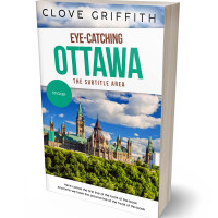 3D view of Premade Travel Book Cover - Wedgewood