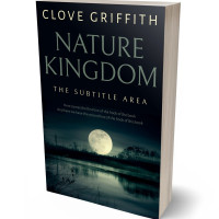 3D view of Premade Paranormal & Urban Book Cover - Ebony