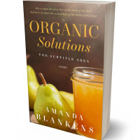 3D view of Premade Health & Dieting & Fitness Book Cover - Quincy