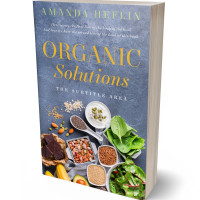 Tablet view of Slate Gray #10527 - Premade Health & Dieting & Fitness Book Cover