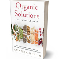 3D view of Premade Health & Dieting & Fitness Book Cover - Bizarre