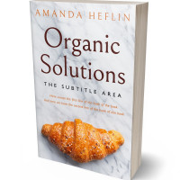 3D view of Premade Romance Book Cover - Iron