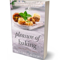 Tablet view of Pale Slate #10567 - Premade Travel Book Cover