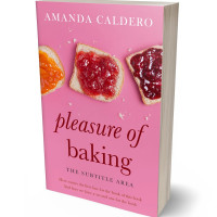 Tablet view of Carissma #10568 - Premade Travel Book Cover