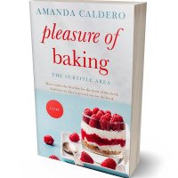 Tablet view of Iron #10570 - Premade Travel Book Cover