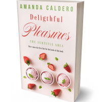 Tablet view of Pot Pourri #10585 - Premade Travel Book Cover