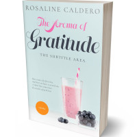 Tablet view of Mystic #10589 - Premade Travel Book Cover