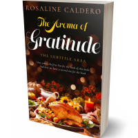 Tablet view of Raw Sienna #10593 - Premade Travel Book Cover