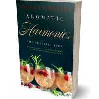 3D view of Premade Cookbooks & Food & Wine Book Cover - Firefly