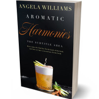 Tablet view of Black #10629 - Premade Travel Book Cover