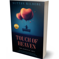 3D view of Premade Romance Book Cover - Firefly