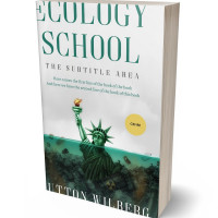 Tablet view of Black Haze #10880 - Premade Surreal Book Cover