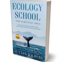 Tablet view of Botticelli #10882 - Premade Nature Book Cover