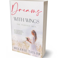 3D view of Premade Romance Book Cover - Ebb