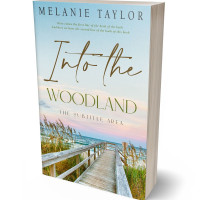 3D view of Premade Nature Book Cover - Geyser