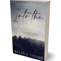 3D view of Premade Fantasy Book Cover - Cloudy