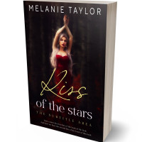 3D view of Premade Romance Book Cover - Night Rider