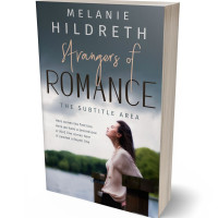 3D view of Premade Romance Book Cover - Cape Cod