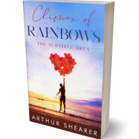 3D view of Premade Romance Book Cover - East Bay