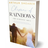 3D view of Premade Romance Book Cover - Pampas