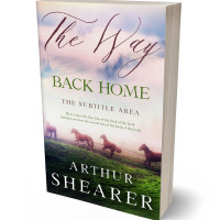 Tablet view of Green Kelp #11067 - Premade Poetry Book Cover