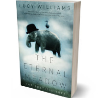 Tablet view of Cascade #11083 - Premade Fantasy Book Cover