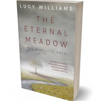 3D view of Premade Surreal Book Cover - Dawn