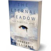 Tablet view of Timberwolf #11087 - Premade Abstract Book Cover