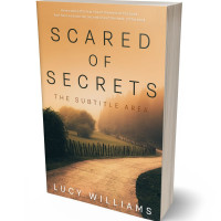 3D view of Premade Nature Book Cover - Tumbleweed