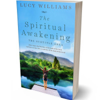 3D view of Premade Health & Mind & Body Book Cover - Seagull