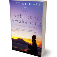 3D view of Premade Health & Mind & Body Book Cover - Chatelle