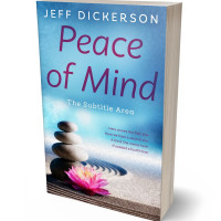 3D view of Viking #11167 - Premade Health & Mind & Body Book Cover