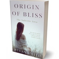 3D view of Premade Romance Book Cover - Geyser