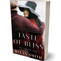 3D view of Premade Romance Book Cover - Wafer