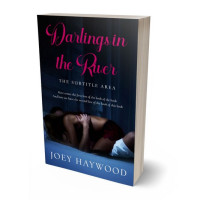 3D view of Premade Erotica Book Cover - Vulcan