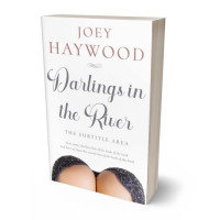 3D view of Premade Erotica Book Cover - Del Rio