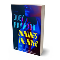 3D view of Premade Erotica Book Cover - Ebony