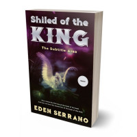 3D view of Premade Fantasy Book Cover - Gondola