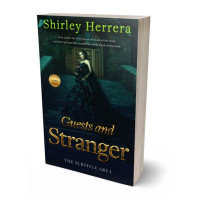 3D view of Premade Romance Book Cover - Aztec