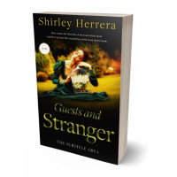 Tablet view of Old Gold #11769 - Premade Fantasy Book Cover