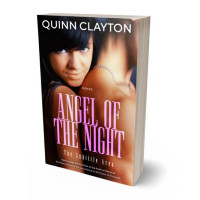 3D view of Premade Romance Book Cover - Shilo