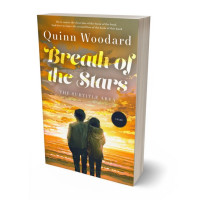 3D view of Premade Romance Book Cover - Copper