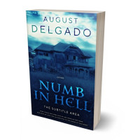 3D view of Premade Mystery & Thriller & Suspense Book Cover - San Juan