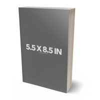 3D view of Premade Science Fiction Book Cover - Black Pearl