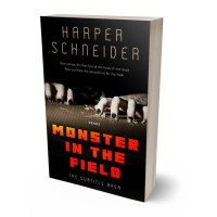 3D view of Premade Horror Book Cover - Terracotta