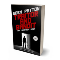 3D view of Cod Gray #12476 - Premade Literary Fiction Book Cover