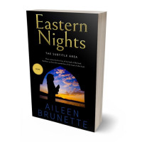 3D view of Premade Religion & Spirituality Book Cover - Twine