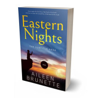 3D view of Premade Religion & Spirituality Book Cover - Chambray